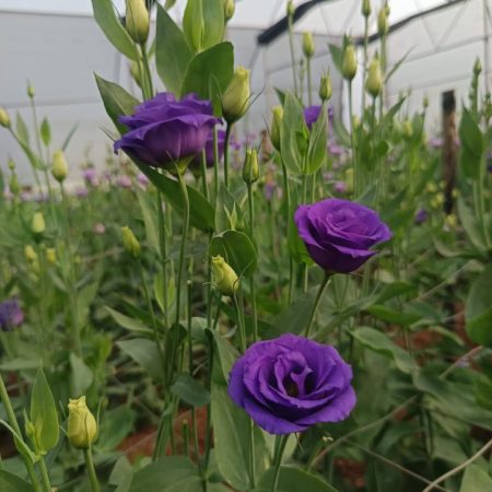 5f60eb6d-fac8-443f-8242-b0a9e835fc93