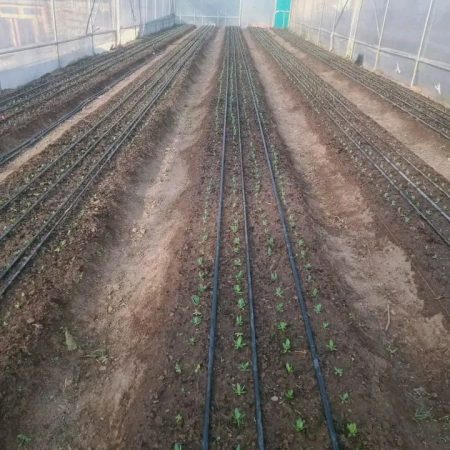 635116bf-c74b-4e6f-8d59-c80f2e417b97