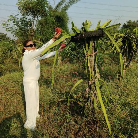 6b84340b-6a44-44ab-ae05-d44b052de634