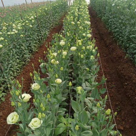 76f27d9d-b074-4849-a4c1-3c2883280a4e