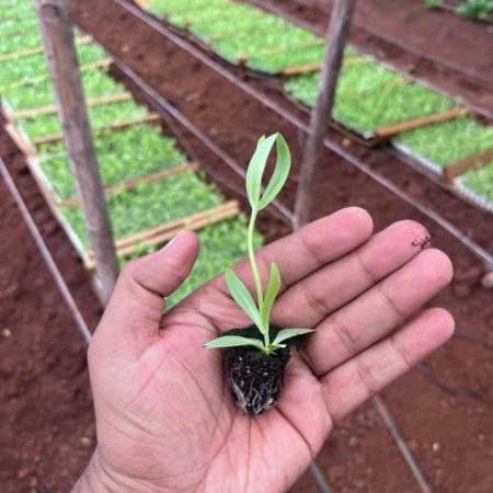 77fc8379-dabb-426e-a95a-465c03af7ea2