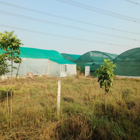 d6dbe48d-e532-40ee-96fe-df6b954aefd4