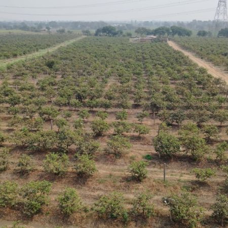 f5eef753-a2f4-475c-a34b-6e202e23079c